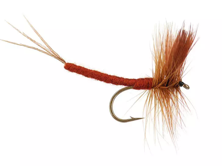 Brown Drake Extended Body Mayfly