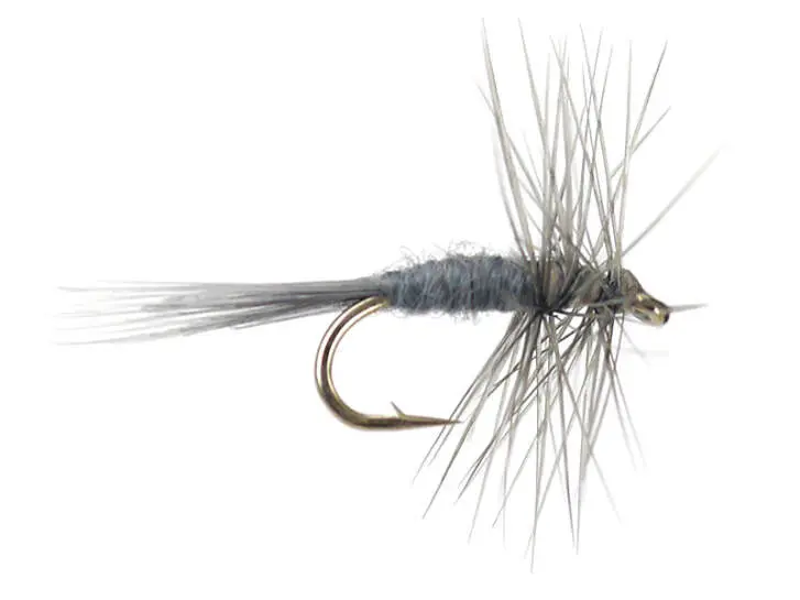 Midge Dun
