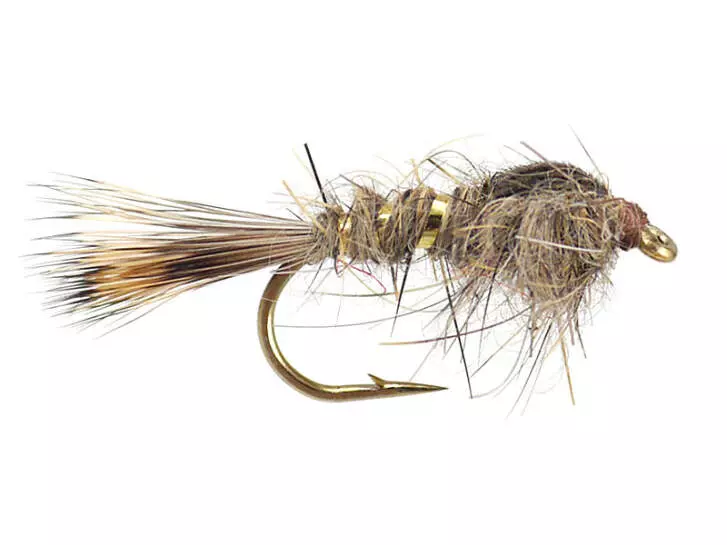 Gold Ribbed Hares Ear