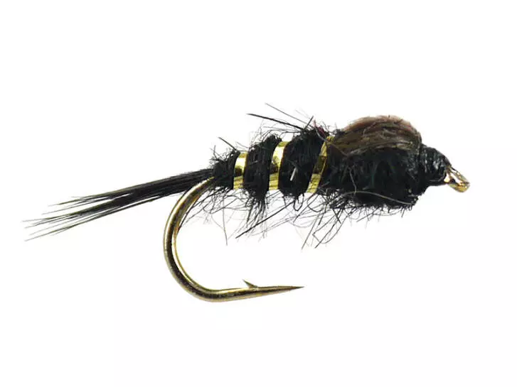 Hares Ear Black