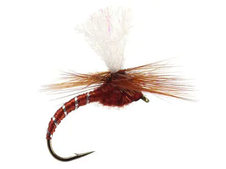Klinkhammer Brown