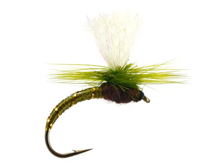 Klinkhammer Olive