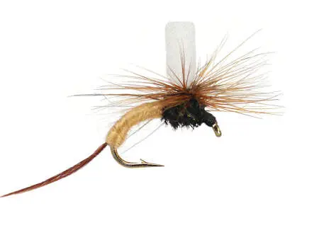 Foam Tailed Klinkhammers Tan
