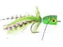 Crazy Frog Popper Superb