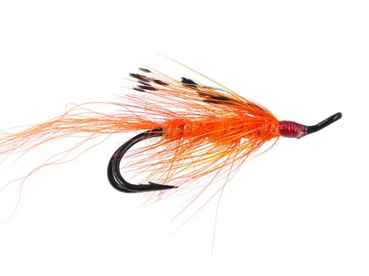 Gp Orange