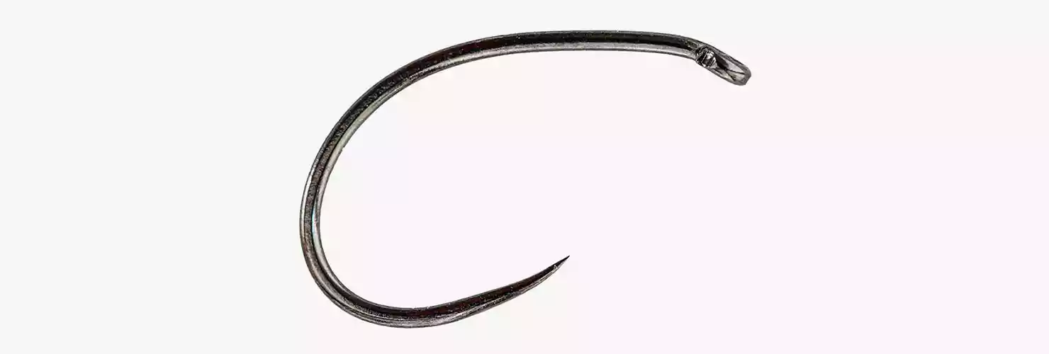 Grub_Pupa_1